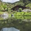 Отель Trogon Lodge, фото 4