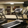 Отель Holiday Inn Express Hotel & Suites Milton East I-10, an IHG Hotel, фото 28