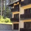 Отель Apartment Bubica Zlatibor Best for Family Holidays and Couples in Love, фото 14