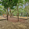 Отель Mediterranean Apartments - Unit 4, фото 11