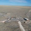 Отель Etosha King Nehale, фото 7