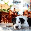 Отель Hostel Che Holbox, фото 23