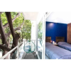 Отель Amazing 2BDRM Apartment in Xola Narvarte, CDMX, фото 6