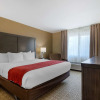 Отель Comfort Inn & Suites Ponca City near Marland Mansion, фото 7