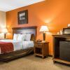 Отель Comfort Suites Pelham Hoover I-65, фото 19