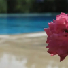 Отель Villa Duman Dalyan, фото 8