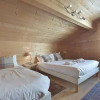 Отель Chalet Le Grand-Bornand, 6 pièces, 15 personnes - FR-1-391-24, фото 14
