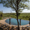 Отель Mdluli Safari Lodge, фото 43