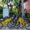 Отель Sanibel Island Beach Resort, фото 1