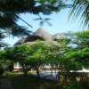 Отель Room in B&B - Watamu, Nestled Between Pristine Beaches and Lush Tropical Forest, фото 15