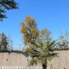 Отель Sapanca Dre2 Bungalov, фото 11