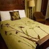 Отель University Circle Bed and Breakfast, фото 5