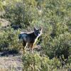 Отель Rancho Loreto, фото 7