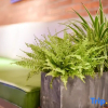 Отель True Go Hotel (Harbin Central Street, Saint Sophia Cathedral, Railway Station), фото 11