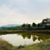 Отель Mountain side retreat Near Tadiyandamol Hills, фото 4
