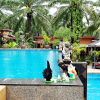 Отель Palmthien Pool Villa Aonang, фото 5