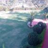 Отель Palanpur Palace Hotel, фото 12