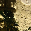 Отель B&B LAntico Palazzo, фото 11