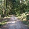 Отель Haus Carmenas - Ferienwohnung im Odenwald, фото 17