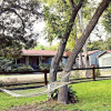 Отель Geronimo Creek Retreat- Homestead Haus 3 Bedrooms 2 Bathrooms Cabin, фото 28