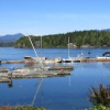 Отель Tofino Swell Lodge, фото 19