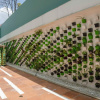 Отель Biohotel Organic Suites, фото 28