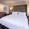Отель Holiday Inn & Suites Detroit - Troy, фото 13