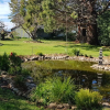 Отель Belmont Homestead, фото 44