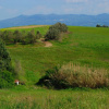 Отель Modern Holiday Home In Rosignano Marittimo Near Forest, фото 16
