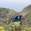 Отель Lovely Holiday Home nr Kynance Cove, фото 37