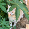 Отель White Cat B&B, фото 3