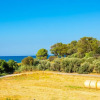 Отель Villa Achilleas Chrystalla Large Private Pool Sea Views A C Wifi Eco-friendly - 2505, фото 28
