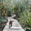 Отель Posada Ecoturística Chachita, фото 18