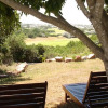 Отель Cactusberry Cottage, фото 8