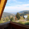 Отель Ferienwohnung Seeblick Nr 3, 2 Zi-Barental, Feldberg, фото 4