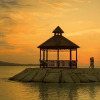 Отель Secrets Wild Orchid Montego Bay - Luxury - Adults Only - All Inclusive, фото 42