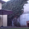 Отель Hostal Jardin del Mar, фото 8