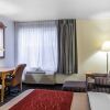 Отель Comfort Inn At Sequoia Nationa, фото 20