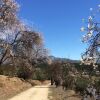 Отель Alojamiento Rural Cortijo Ribero, фото 18