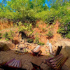 Отель Casa com Jardim Praia da Ferrugem, фото 11