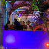 Отель Blue Horizon Boutique Resort - Adults Only, фото 9