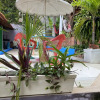 Отель Macaco Surf House - Hostel, фото 13