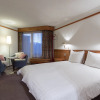 Отель T3 Alpenhotel Flims, фото 5