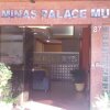 Отель Minas Palace De Muriaé, фото 1
