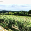 Отель Studio Dans Les Vignes de Cassis, фото 6
