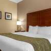 Отель Comfort Inn Duncansville - Altoona, фото 32