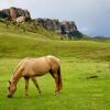 Отель Greenfire Drakensberg Lodge, фото 15