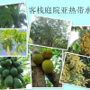 Отель Weizhou Island Wan Jia Deng Huo Inn, фото 12