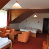Отель Penzion Montana, фото 5