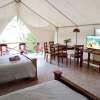 Отель Volcano Tenorio Glamping Ranch - 3 Tents, фото 10